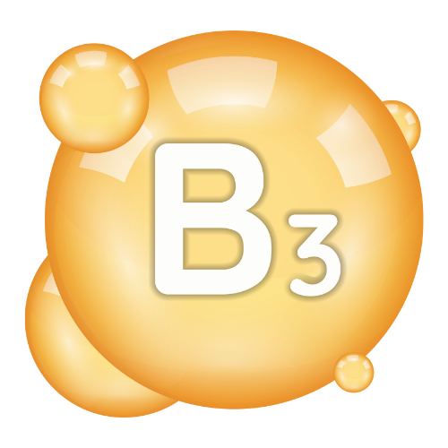 8 8