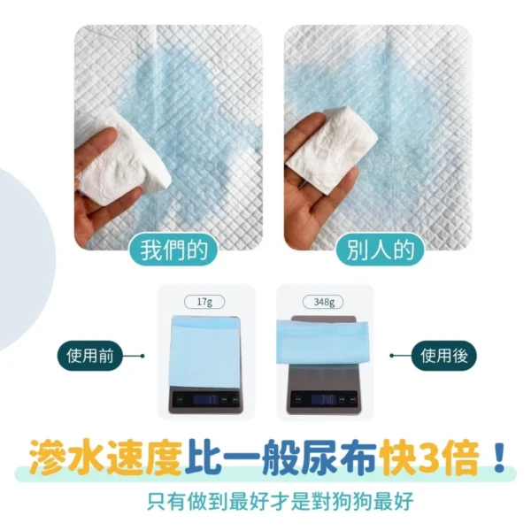 《出清超低價》寵物尿布墊/吸水尿墊：圖片 7