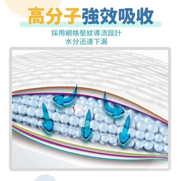 《出清超低價》寵物尿布墊/吸水尿墊：圖片 3