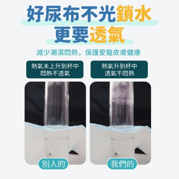《出清超低價》寵物尿布墊/吸水尿墊：圖片 5